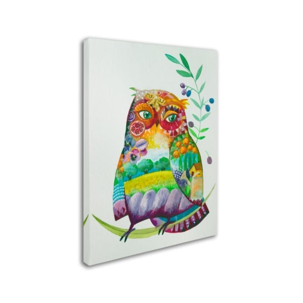 Oxana Ziaka 'Owl From Provence' Canvas Art,35x47